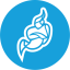 Bundle icon